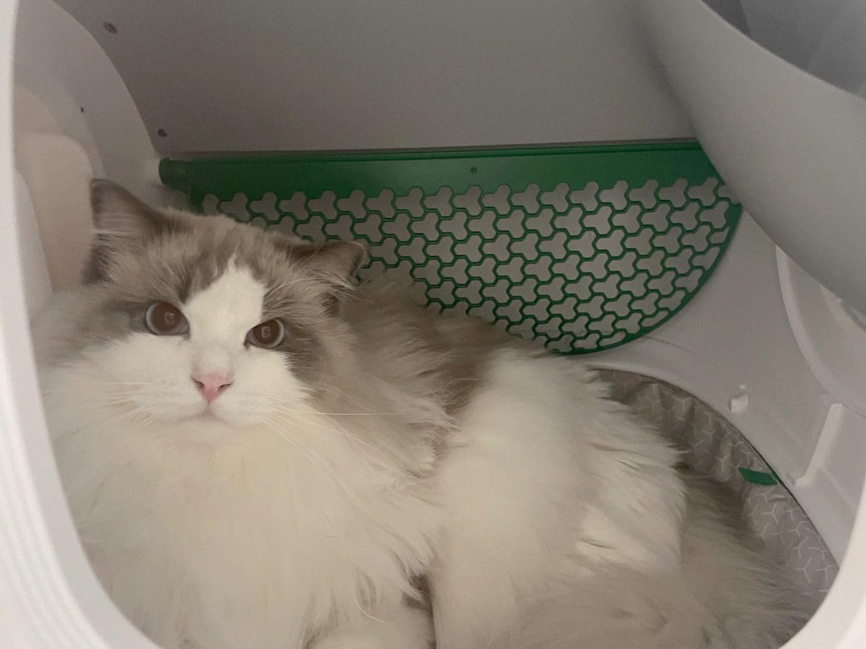 PETKIT PuraMax 2 Automatic Self-Cleaning Cat Litter Box customer photo 1