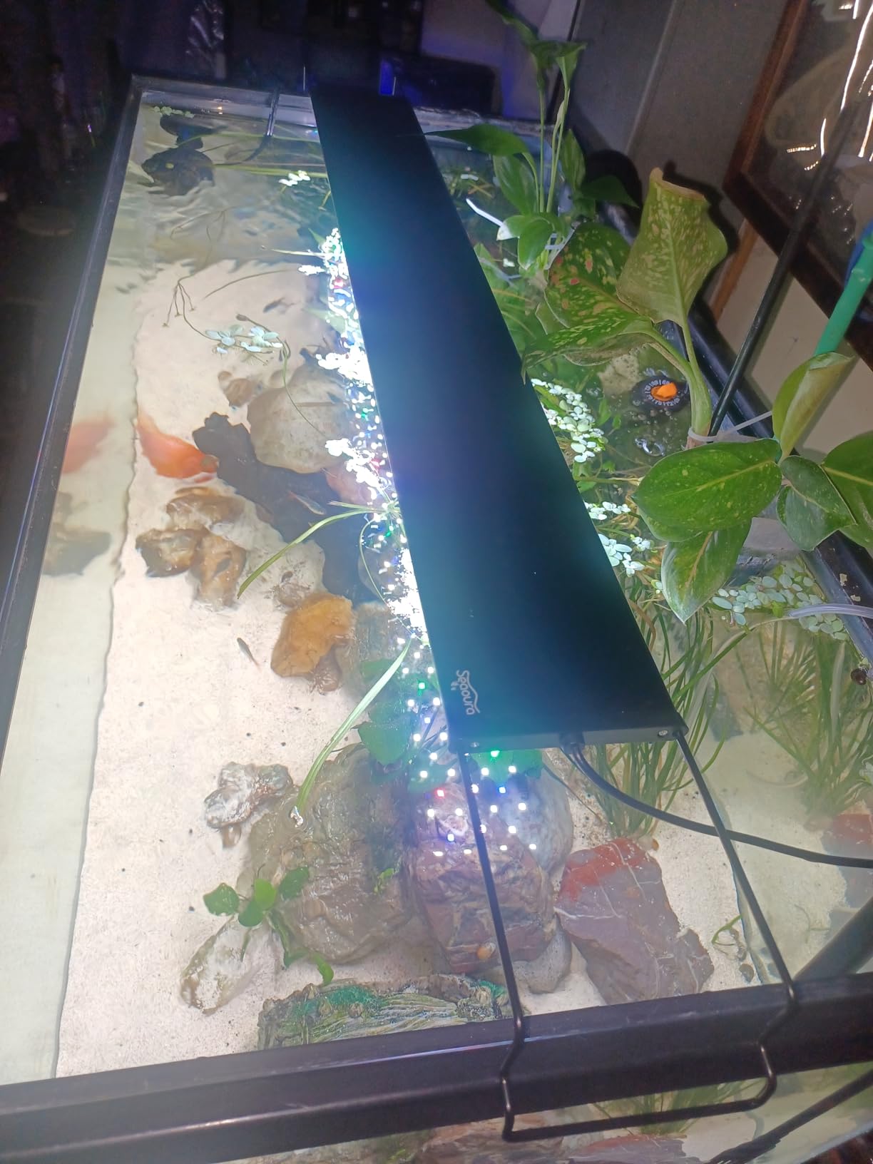 SEAOURA Plant Growth Aquarium Light, 24/7 Custom Timer, Power-Off Memory, 48-54in Full Spectrum Aquarium Plant Lights, 7-Row LED 8 Colors, 20 Adjustable Brightness, Day & Night Cycle for Freshwater customer photo 2