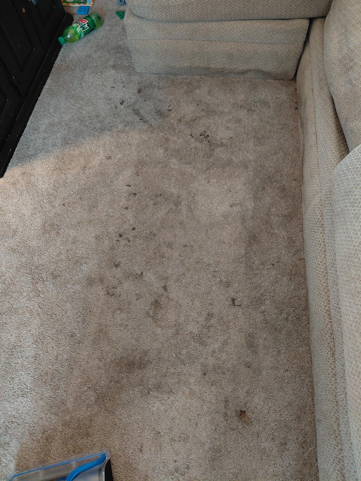 BISSELL TurboClean, Upright Carpet Cleaner, Pro Max Clean & Protect + Oxy Urine Eliminator Formula Included, 3952 customer photo 1