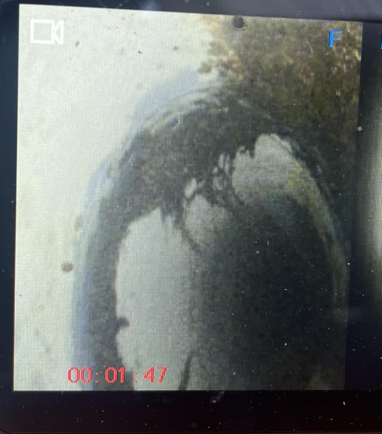 Teslong 50FT Sewer Camera, Dual Lens Borescope with Light, 4.3