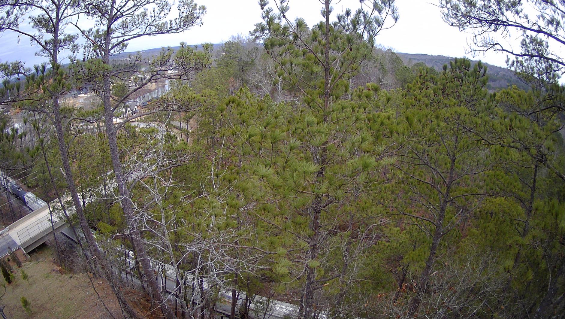 Ruko F11PRO 2 Drone with Camera for Adults, 6K Camera Drone, 3-Axis Gimbal, 2 Batteries for 70-Min Flight Time, Long-Range Transmission, Auto Return & Beginner Mode customer photo 1