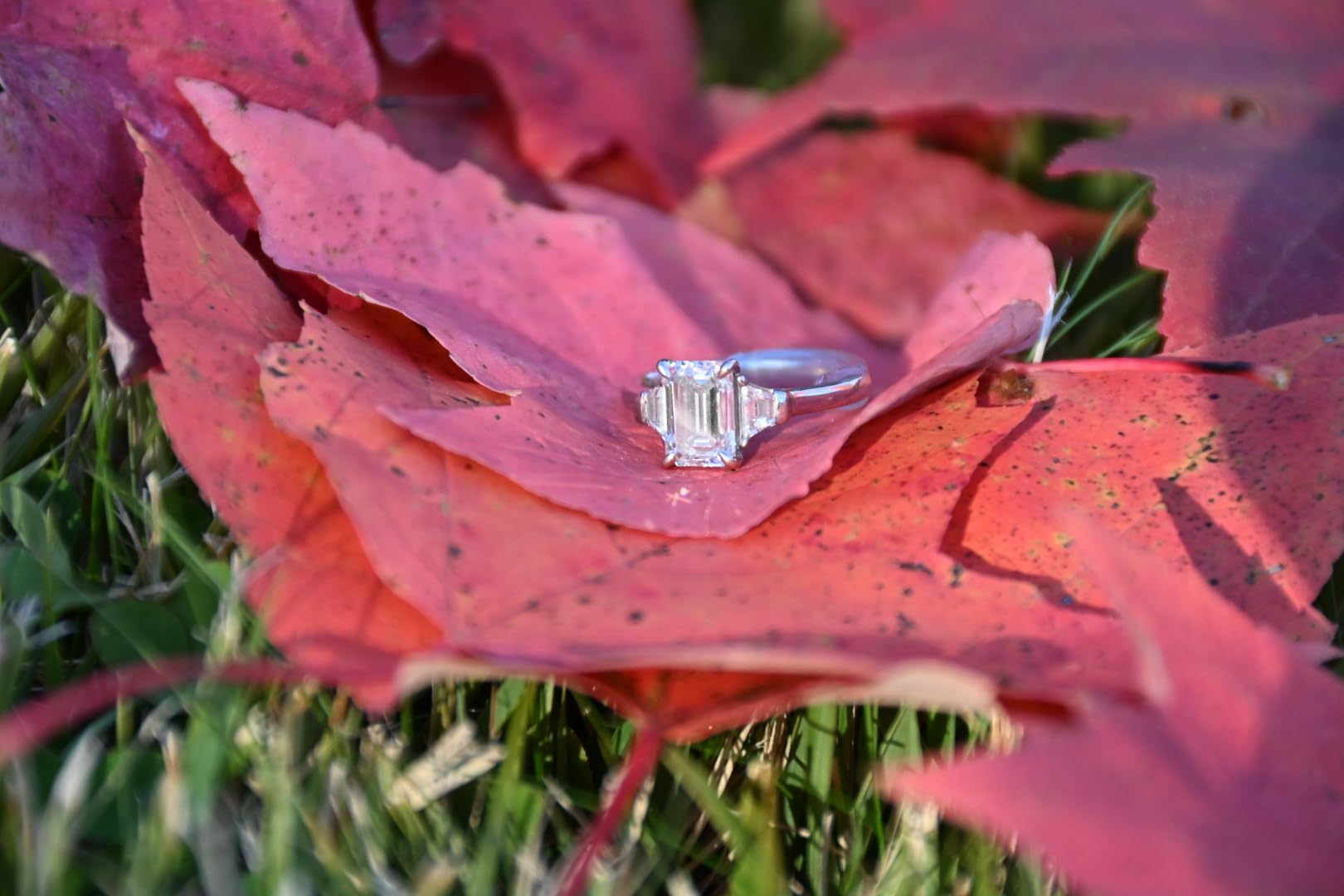 Nikon Z50 II with Two Lenses Compact mirrorless Stills Video Camera with Easy Color presets and Wireless Photo Sharing USA Model customer photo 1