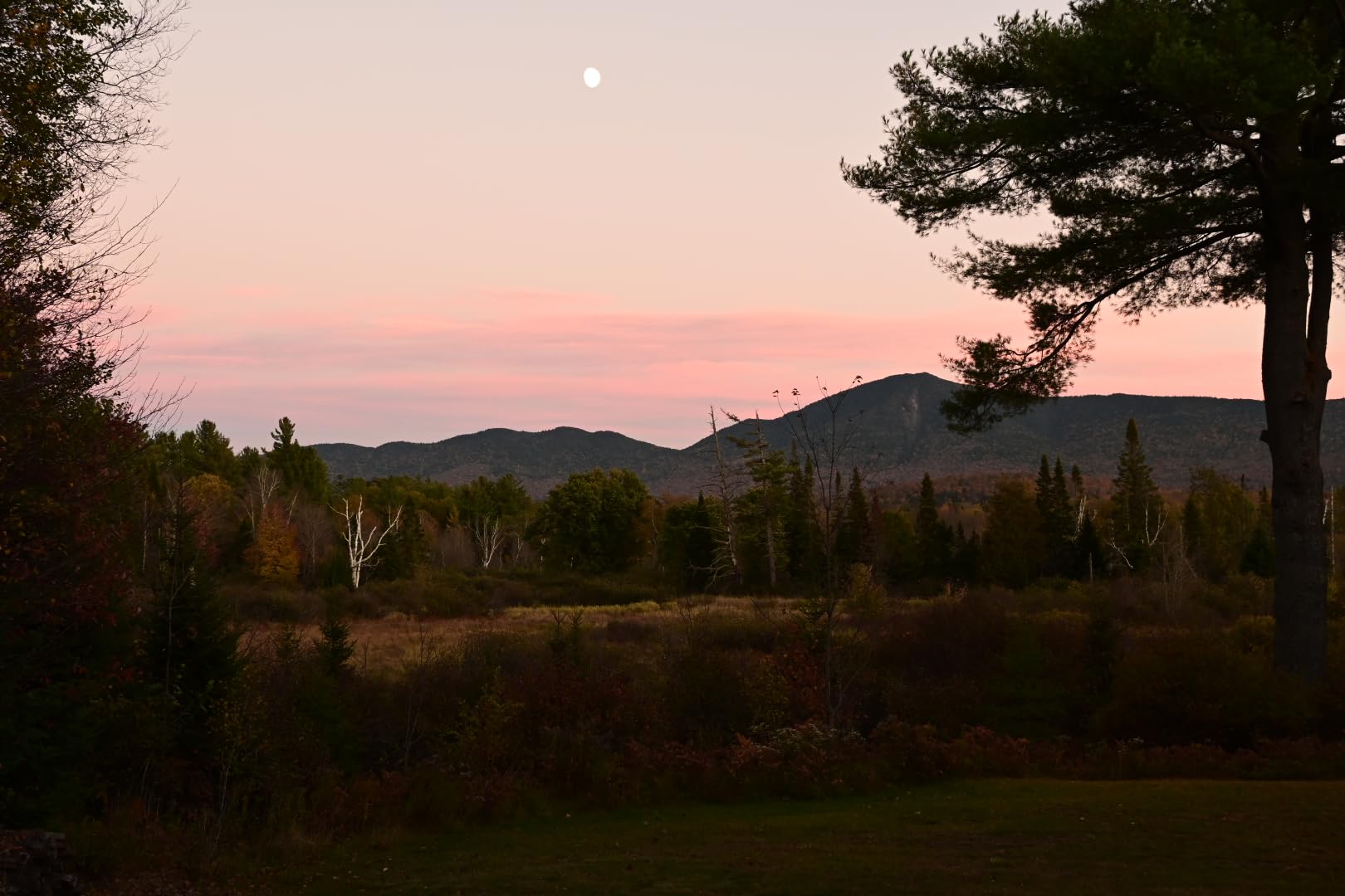 Nikon Z50 II with Two Lenses Compact mirrorless Stills Video Camera with Easy Color presets and Wireless Photo Sharing USA Model customer photo 2