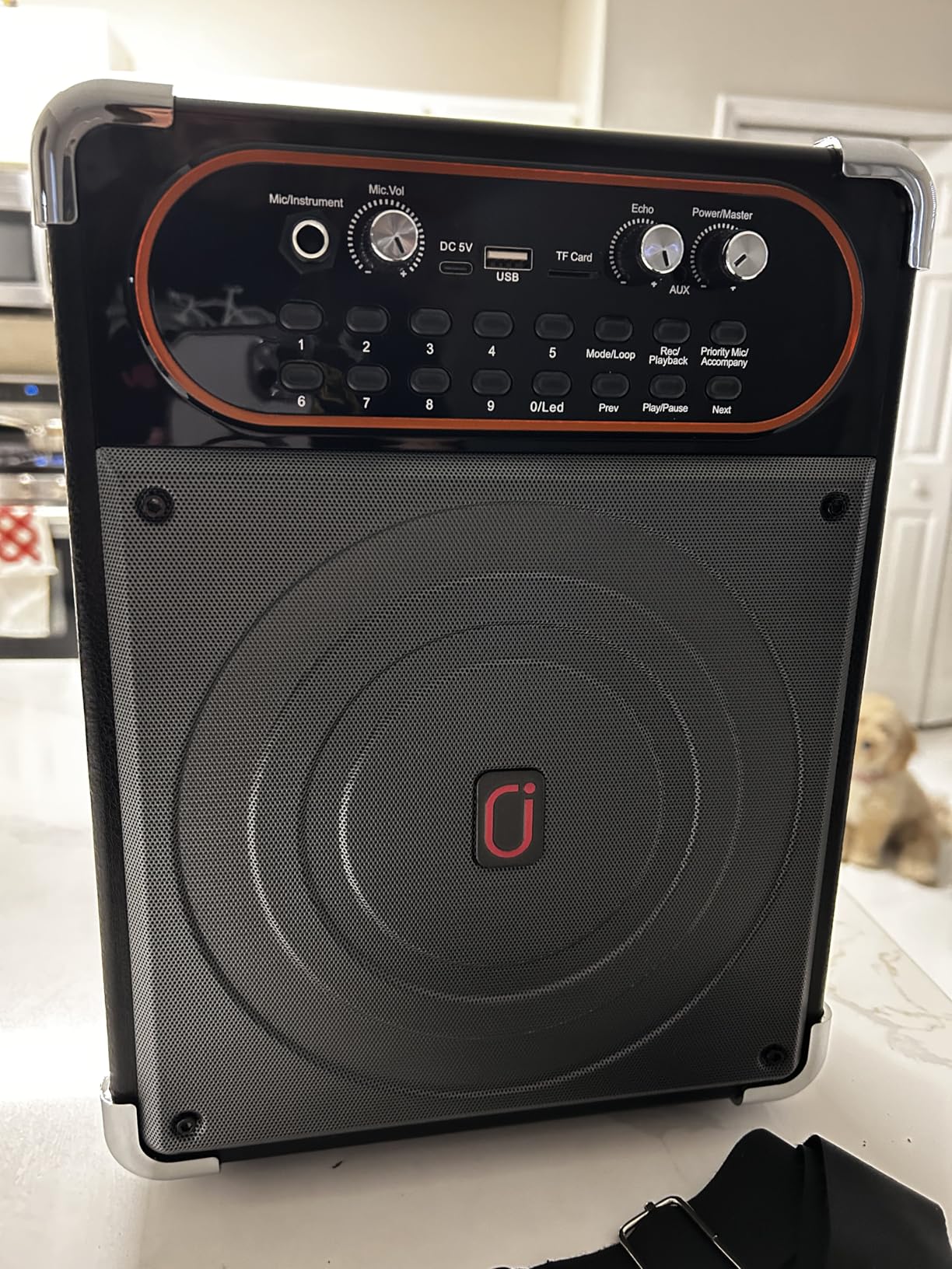 Karaoke Machine, Portable Bluetooth 5.3 Speaker with 2 Wireless Microphones for Adults, PA System with Echo Adjustment, Support TWS/TF Card/USB/AUX/TVs Connected customer photo 2