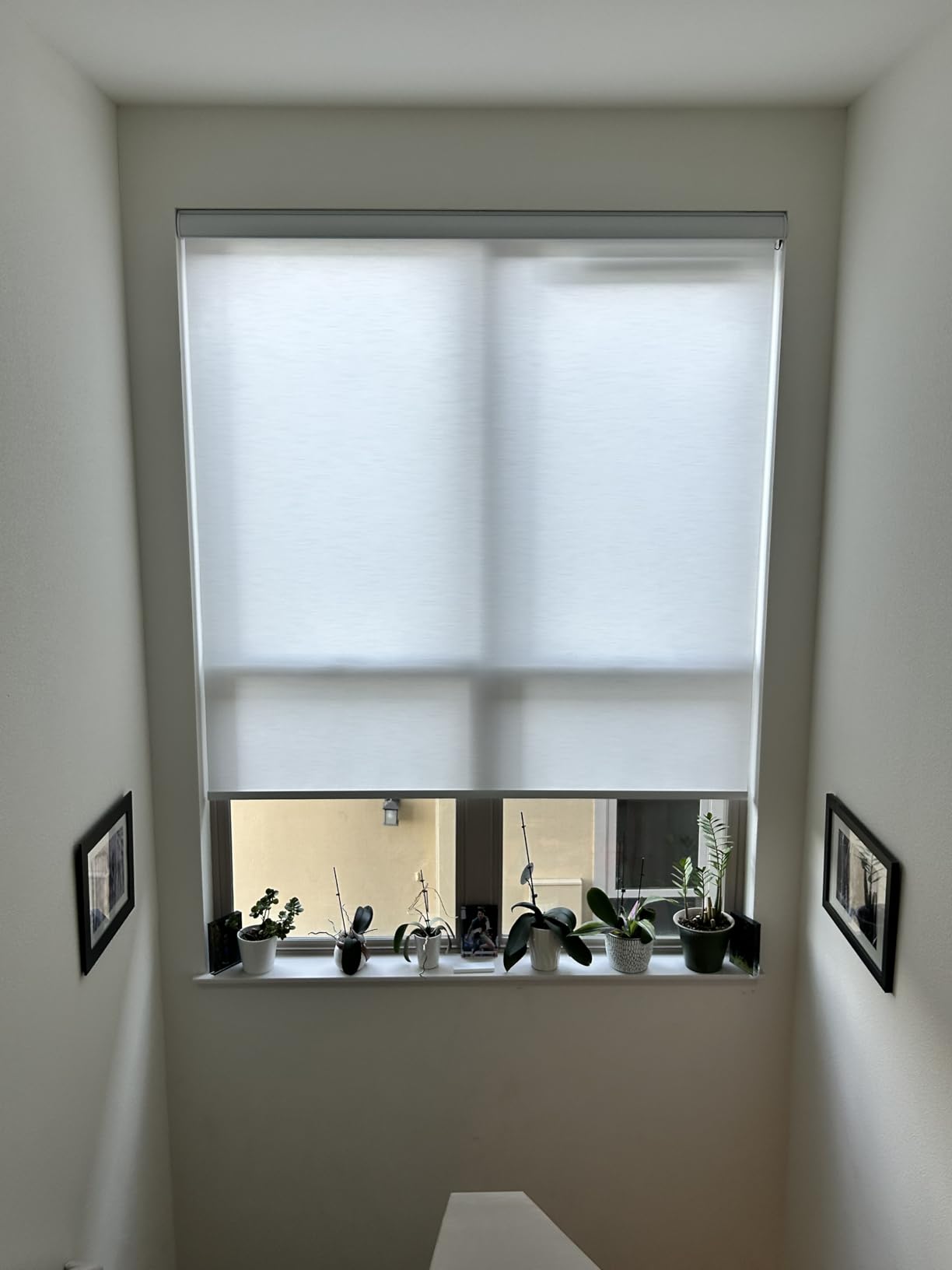 Kincmo Motorized Blinds with Remote, Light Filtering Roller Shades Work with Apple Homekit,Alexa,Google Home, Custom Electric Blinds with App,Voice Control customer photo 2