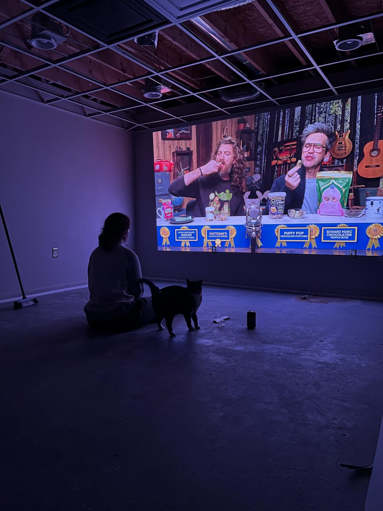 Valerion StreamMaster Plus2 4K Laser Projector - 300