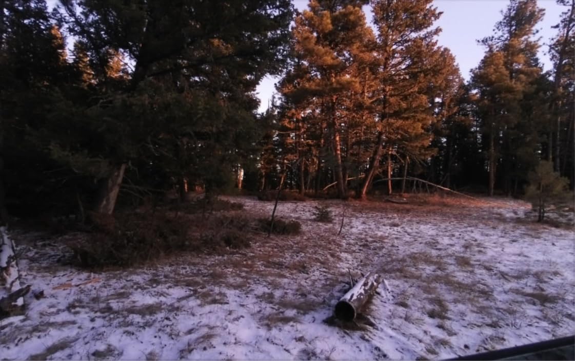 INSTAX Wide Evo Instant Film Camera customer photo 1