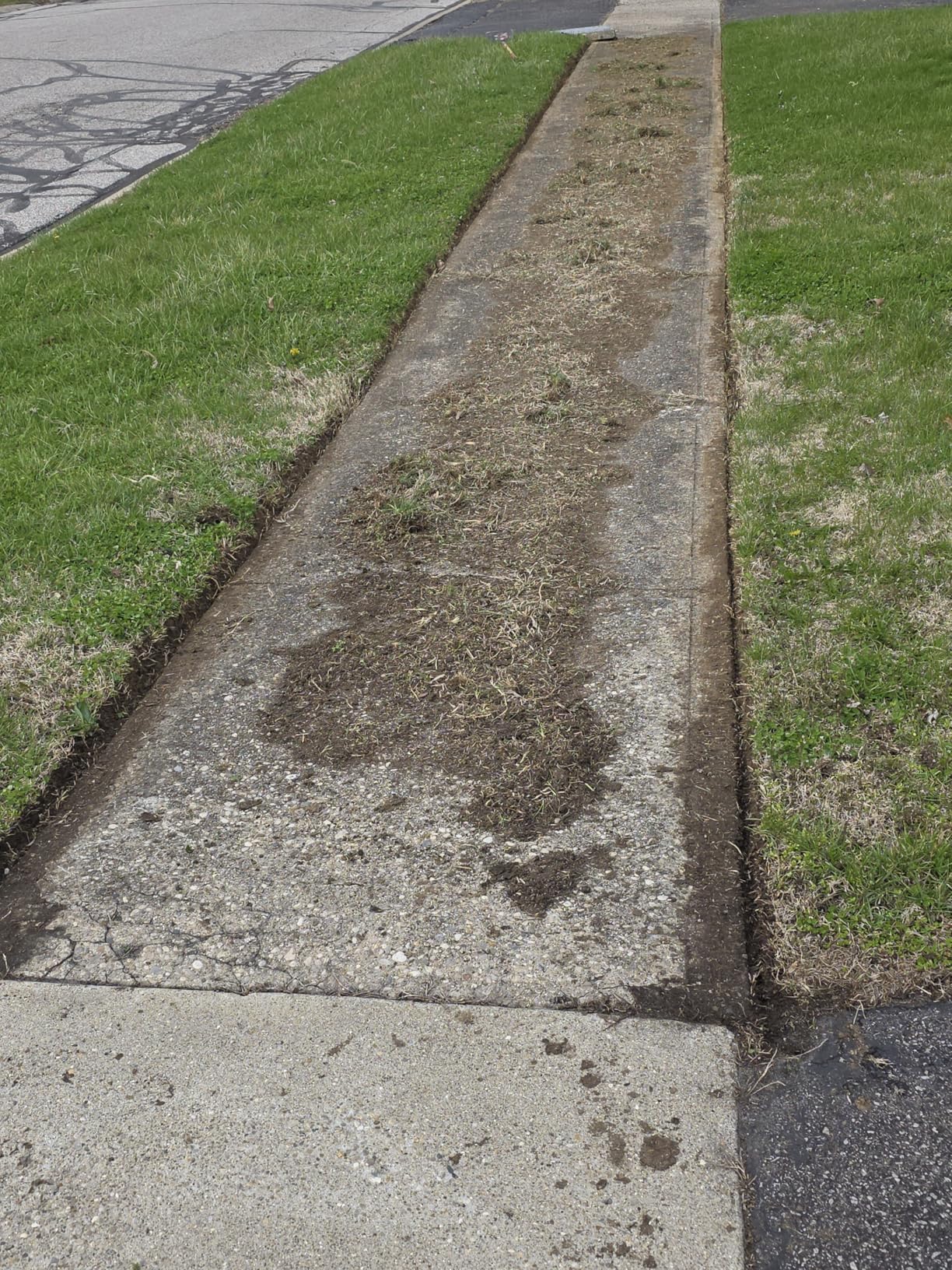 Walensee Wheel Rotary Edger, 69.7 Inch Hand Manual Edger Lawn Tool with Adjustable Stainless Steel Handle, Trimming Grass Weed Edger with Cushion Grip for Garden Sidewalks Driveways and Landscaping customer photo 2