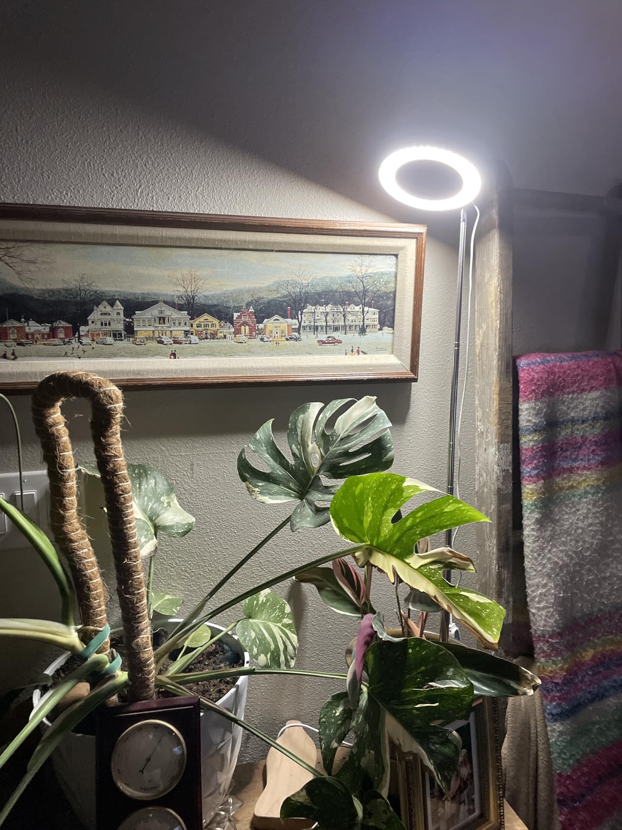 Grow Lights for Indoor Plants, Full Spectrum Plant Lights for Indoor Growing with 6/12/16H Timer, 3 Color Modes, 5 Brightness, 10