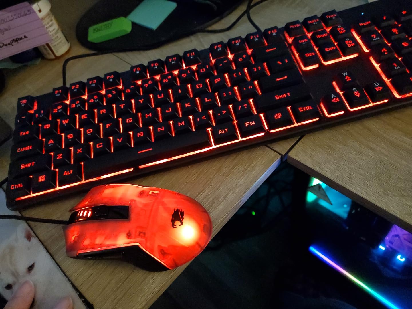 iBUYPOWER Slate MESH Gaming PC Desktop Computer Intel Core i7 14700F CPU, NVIDIA GeForce RTX 5070 12GB GPU, 32GB DDR5 RGB 5200MHz RAM, 1TB NVMe SSD, Windows 11 Home customer photo 2