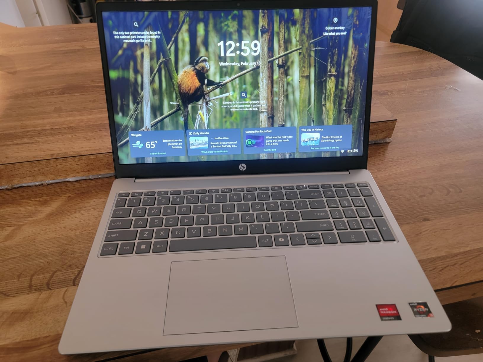 HP 15.6