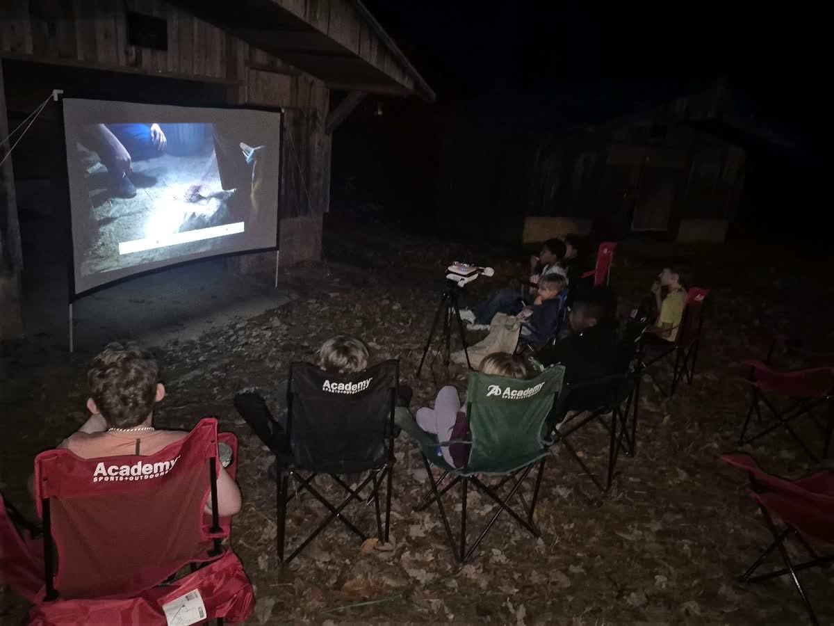 Outdoor Projector Screen with Stand 100 Inch: Portable Projection Screen 16:10 4K HD Outdoor Movie Screen with Carry Bag for Home Backyard Theater customer photo 2