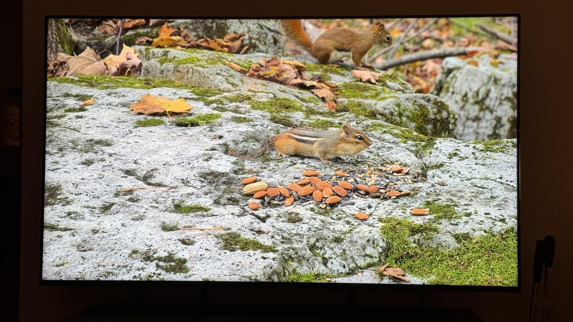 Sony BRAVIA 5 65 Inch TV, Mini LED, 4K Smart Google TV, XR Processor with AI Technology,120hz Television with Dolby Vision/Atmos, Exclusive Features for PlayStation®5, K-65XR50, 2025 Model customer photo 1