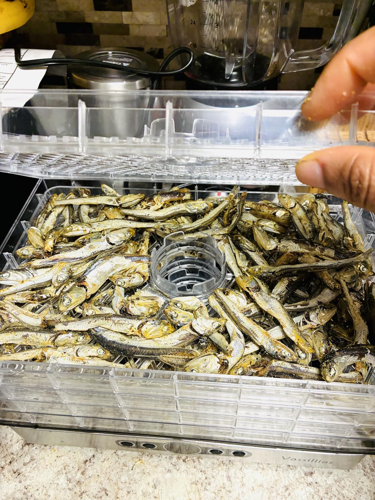 Food Dehydrator Dryer - Dehydrator for Healthy Food, Meat, Jerky, Fruit, Vegetable, Mushroom and Herb, 400W, 158°F, Mini Dryer with 5 BPA-Free Drying Racks and Slide Out Tray, White, Model 904 customer photo 1