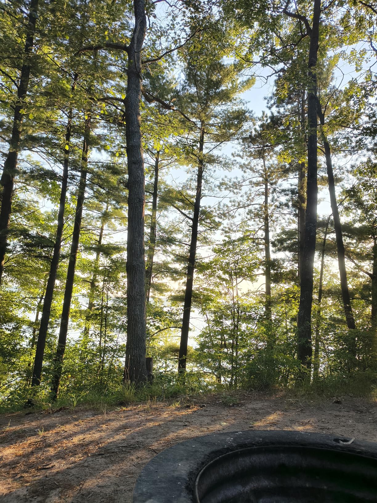 Edge 2025 | Unlocked | Made for US 8/256GB | 50MP Camera | Pantone Deep Forest customer photo 1