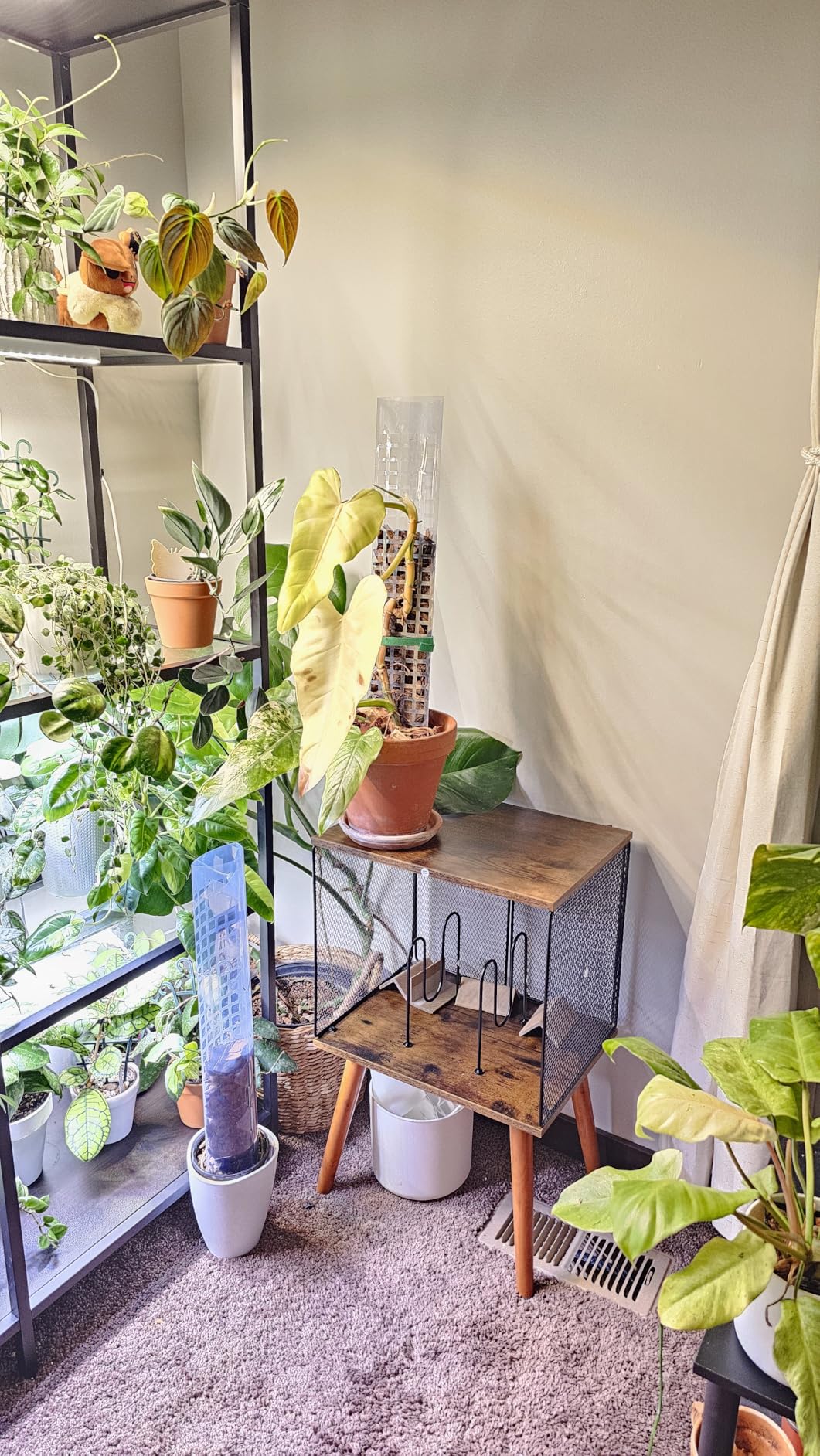 X-cosrack 3-Tier Record Player Stand, Turntable Stand with Storage up to 200 Albums, Corner Vinyl Record Holder with Adjustable Divider customer photo 1