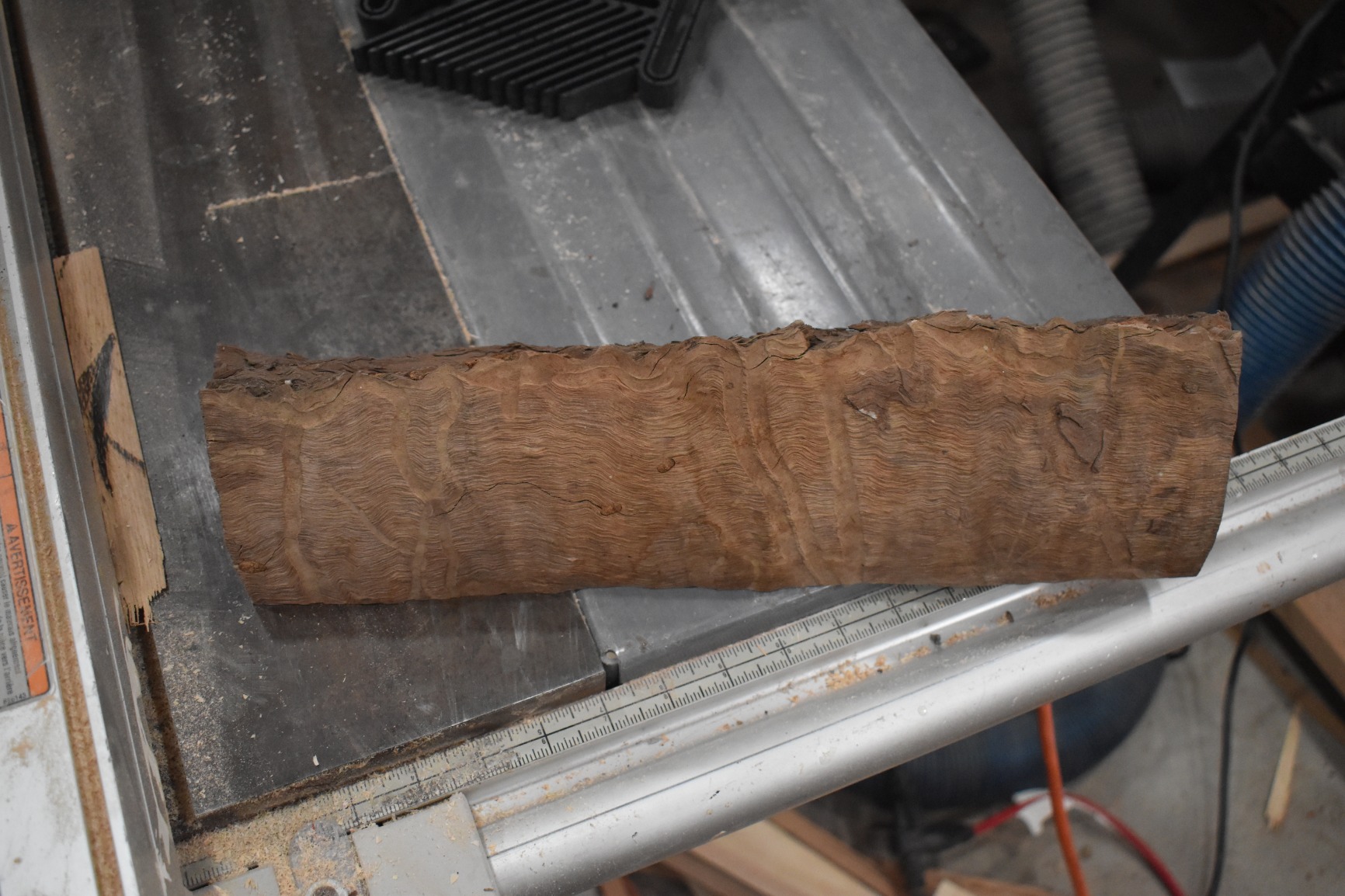 VEVOR Wood Lathe Turning Tool Set, 8PCS, Lathe Chisel Set with Carbon Steel Blade, 2 Skew, 1 Spear Point, 1 Parting, 1 Round Nose, 3 Gouge Tools, 1 Oxford Bag, for Beginners, Hobbyists, Professionals customer photo 1