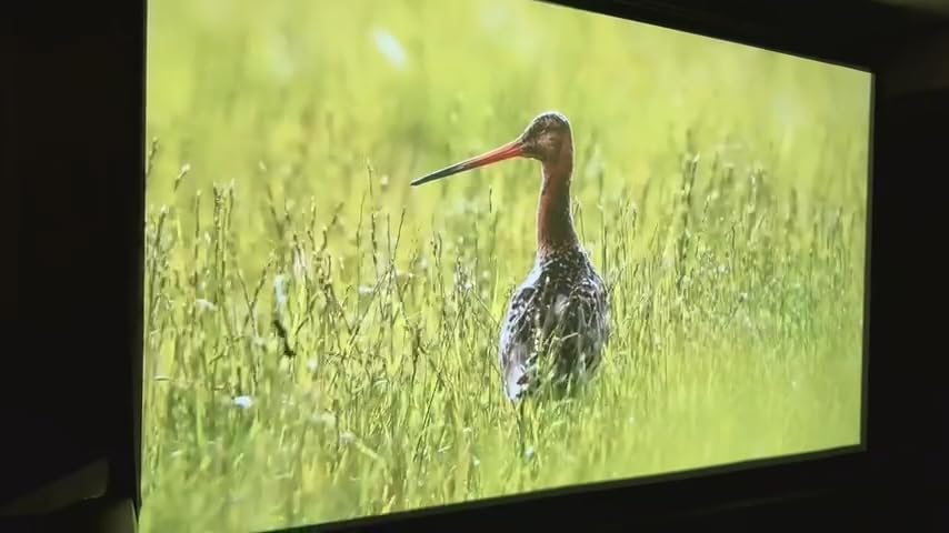 1500 ANSI Official Licensed Google TV Smart Projector, HAPPRUN 4K Full HD Home Theater with Auto Focus, Dolby Sound, Wi-Fi Bluetooth, Built-in Apps, Compatible with Phone & PC, Indoor & Outdoor Use customer photo 2