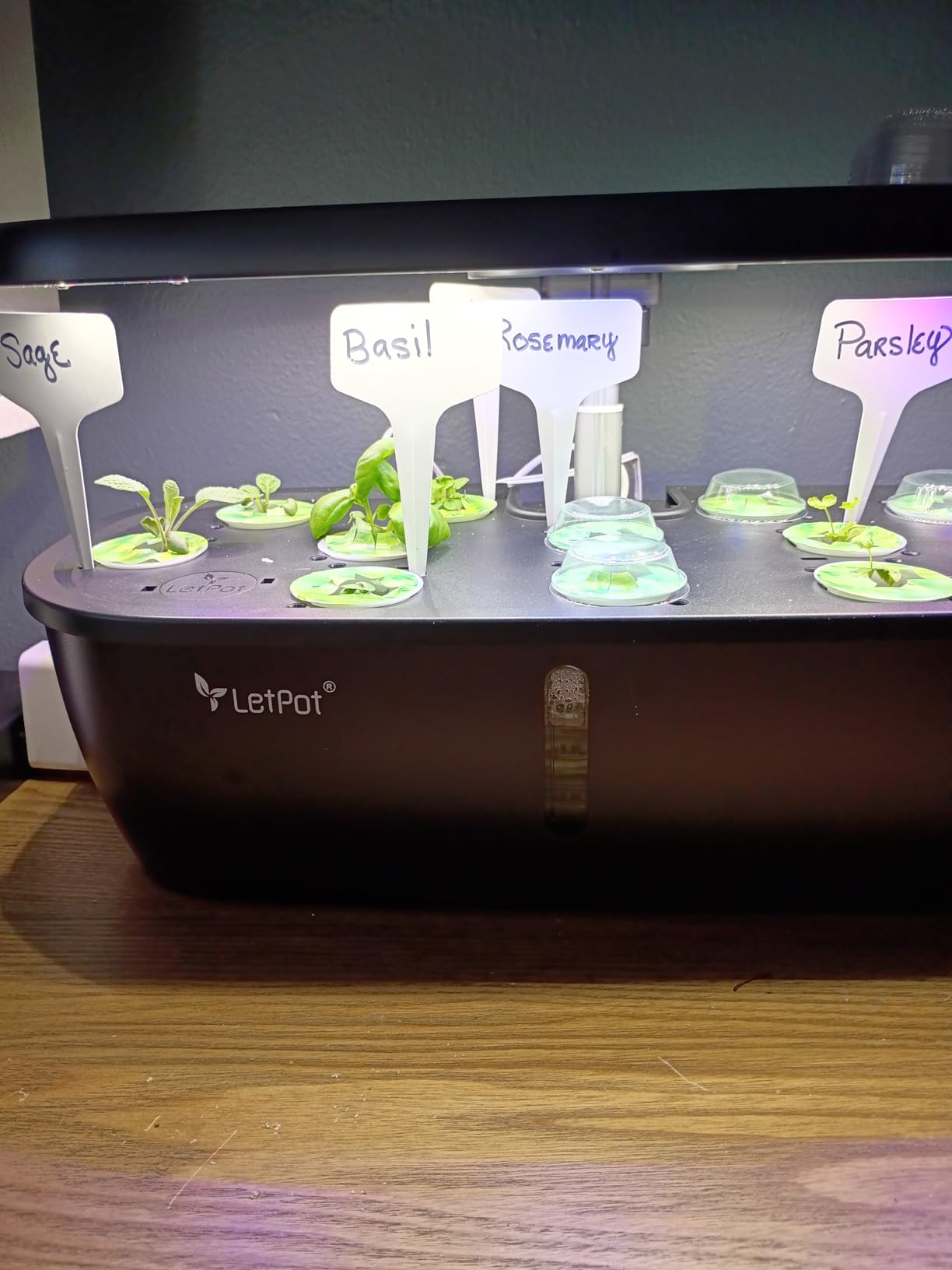 LETPOT Hydroponics Growing System, 12 Pods Indoor Herb Garden Kit with 24W LED Grow Light, 5.5L Water Tank & 16