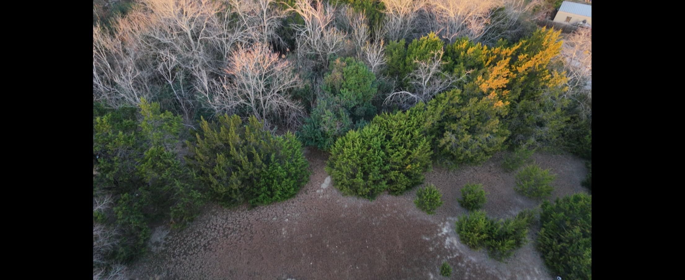 DJI Neo 2 Fly More Combo (Drone Only), 4K Drone With Camera, Palm Takeoff & Landing, Gesture Control, ActiveTrack, Omnidirectional Obstacle Sensing, 3 Batteries customer photo 2