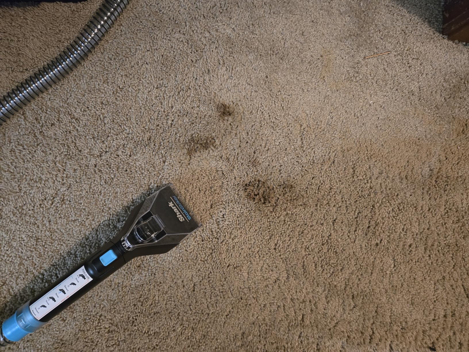 Shark StainStriker Portable Carpet & Upholstery Cleaner w/on board self cleaning - Spot, Stain, & Odor Eliminator, Includes 2 Cleaning Tools & 2 Cleaning Solutions, Charcoal, PX221BRN customer photo 2