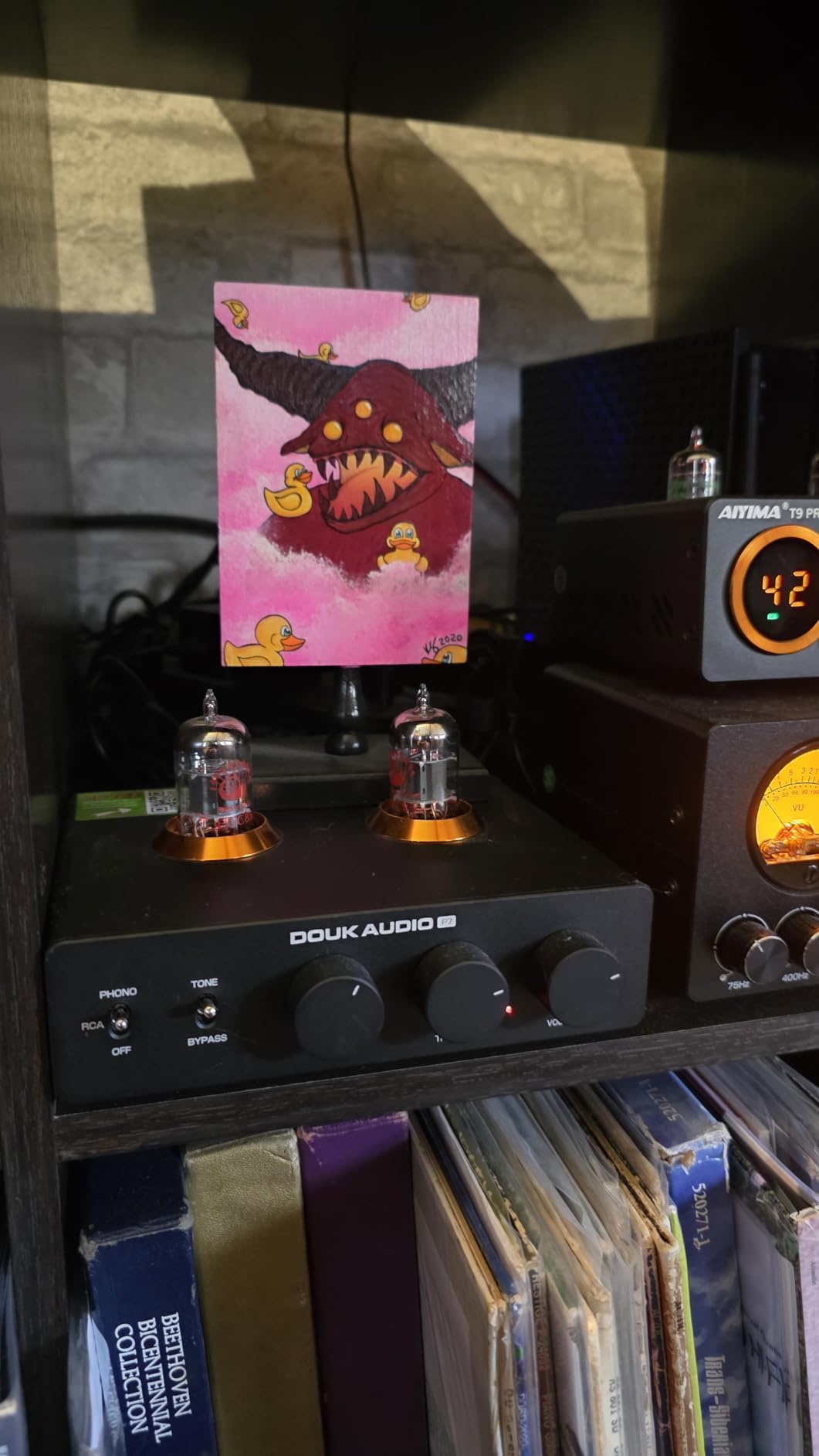 Douk Audio P7 Phono Preamp: Vacuum Tube Turntable Preamplifier with Balanced XLR Output, High-Pass Filter, Bass & Treble Control, Bypass for MM Record Player, Amplifier, Speaker customer photo 2