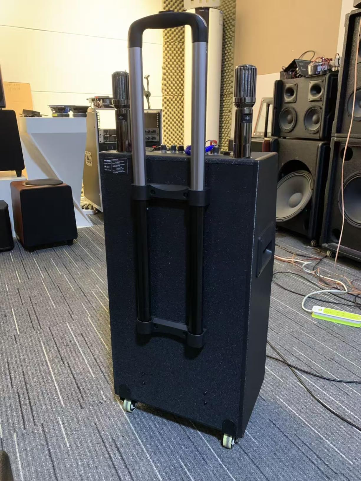 Karaoke Machine for Adults with Lyrics Display and Screen,Portable Bluetooth Speaker for Party,TV, Karaoke System with 2 Wireless Microphone for Any Occasion customer photo 2