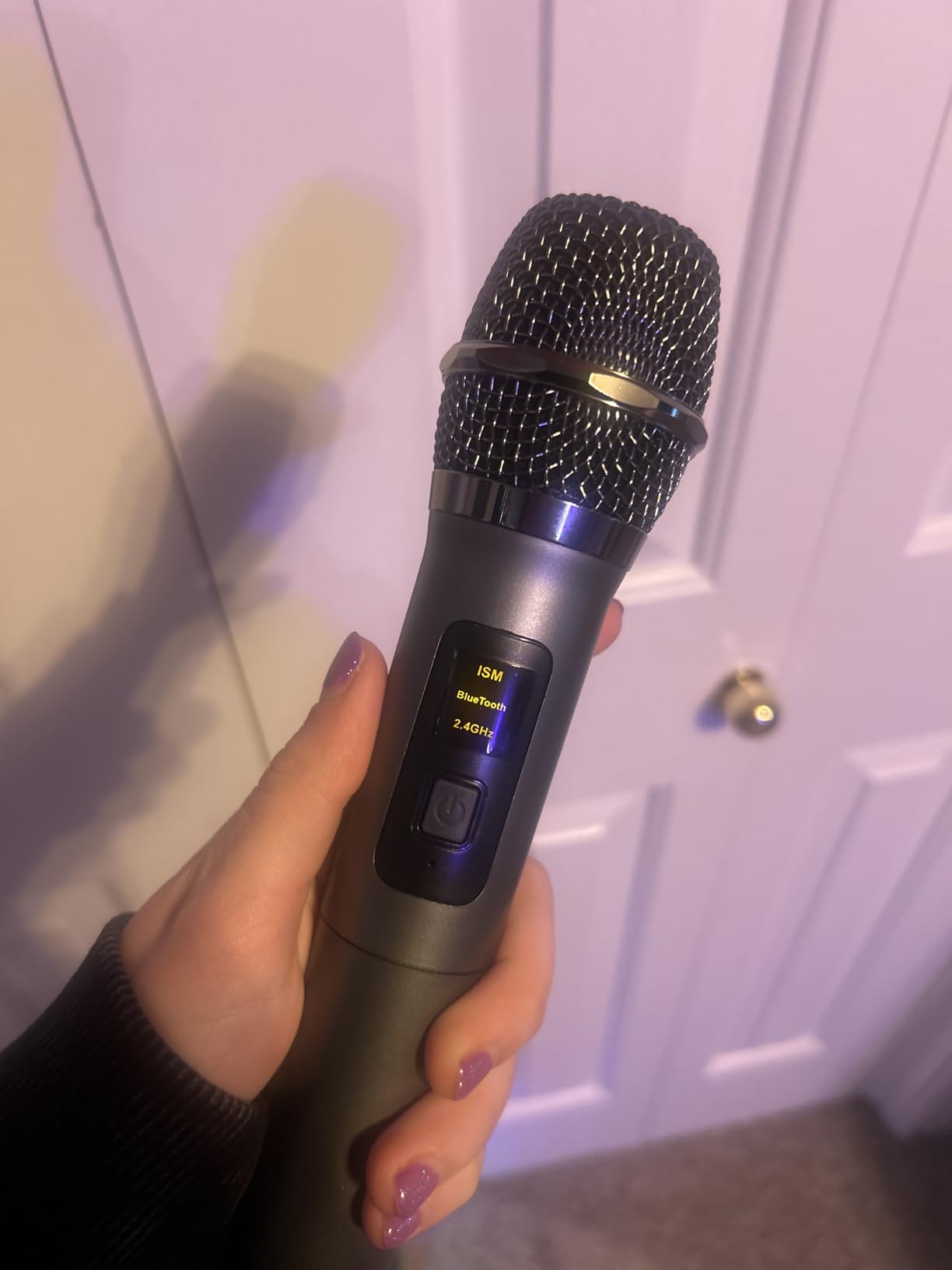 Karaoke Machine with 2 Wireless Rechargeable Microphones: Portable Bluetooth Speaker for Adults & Kids - PA System with Lights Supports TWS/TF Card/USB/AUX for Home Party customer photo 1