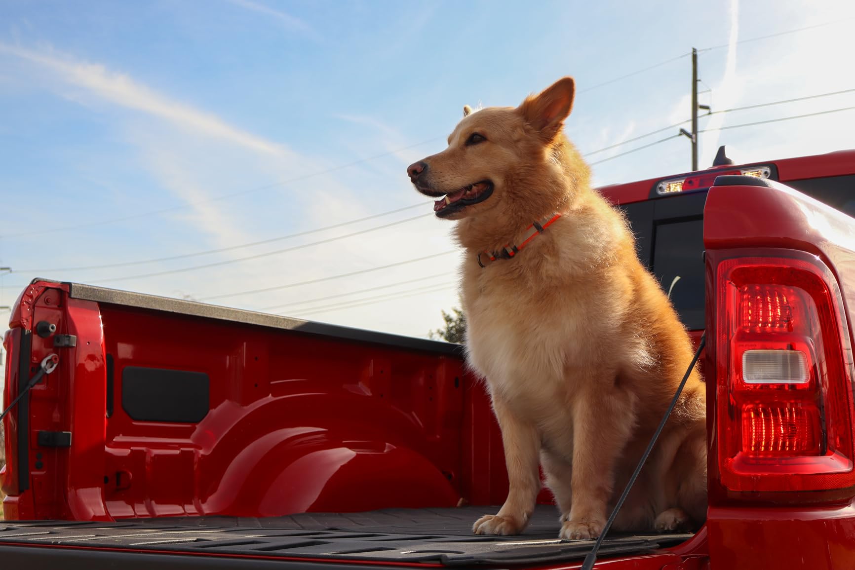 Canon EOS R100 Mirrorless Camera Double Lens Kit with RF-S 18-45mm and RF 75-300mm Lenses | Compact 24.2MP APS-C Camera with 4K Video customer photo 2