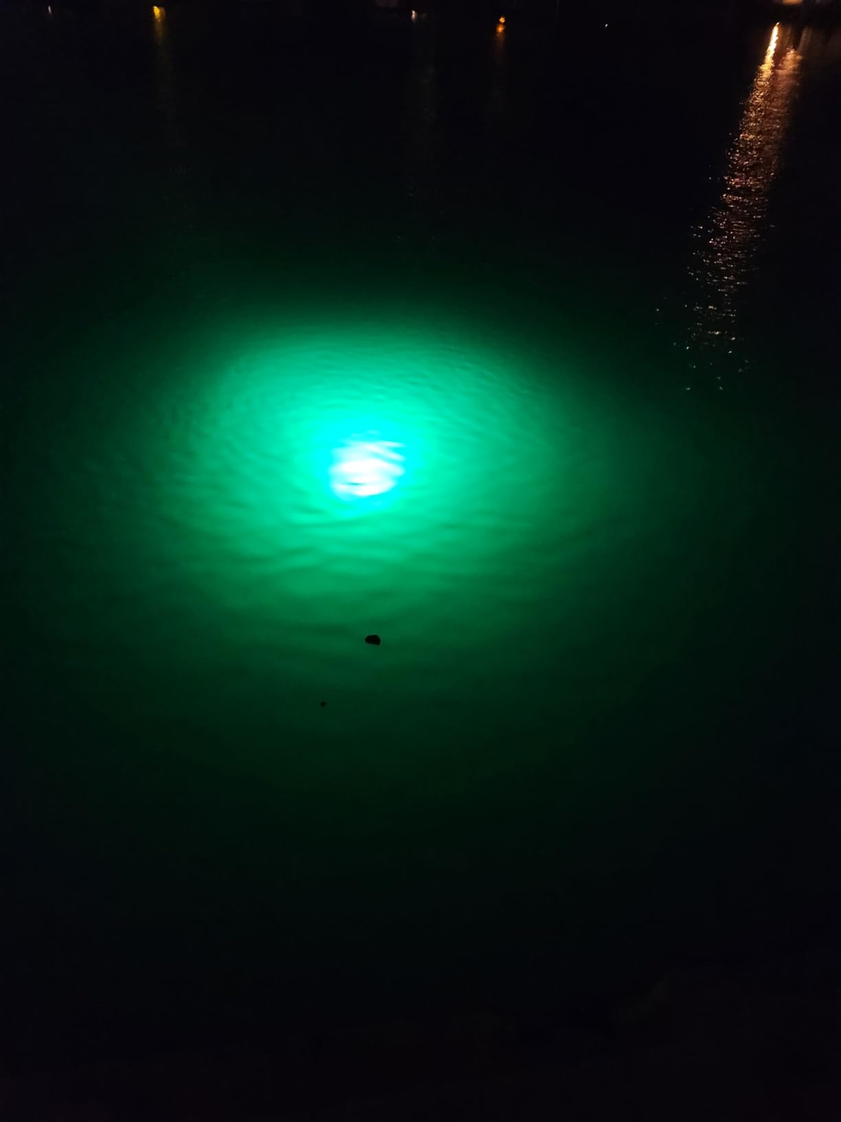 Underwater Fishing Light, 25W 2700LM Green Fishing Light, IP68 High Efficiency LED Fish Attractor Lamp, UL Certified 32.8ft Cable, Waterproof Submersible Lamp for Boat, Dock, Kayaks customer photo 1