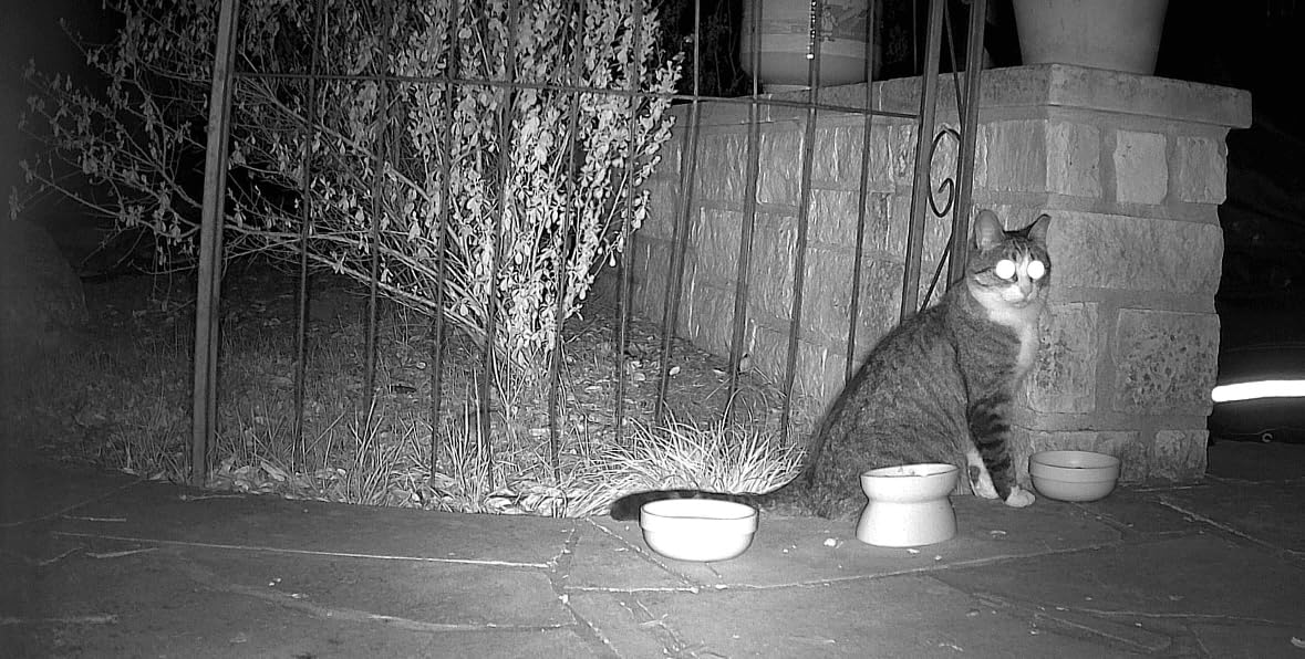 MAXDONE Solar Trail Camera 2 Pack - 4K 64MP WiFi Bluetooth Solar Deer Camera with Night Vision Motion Activated, Game Camera IP66 Waterproof, Wildlife Cameras Built-in Battery Rechargeable Power customer photo 2