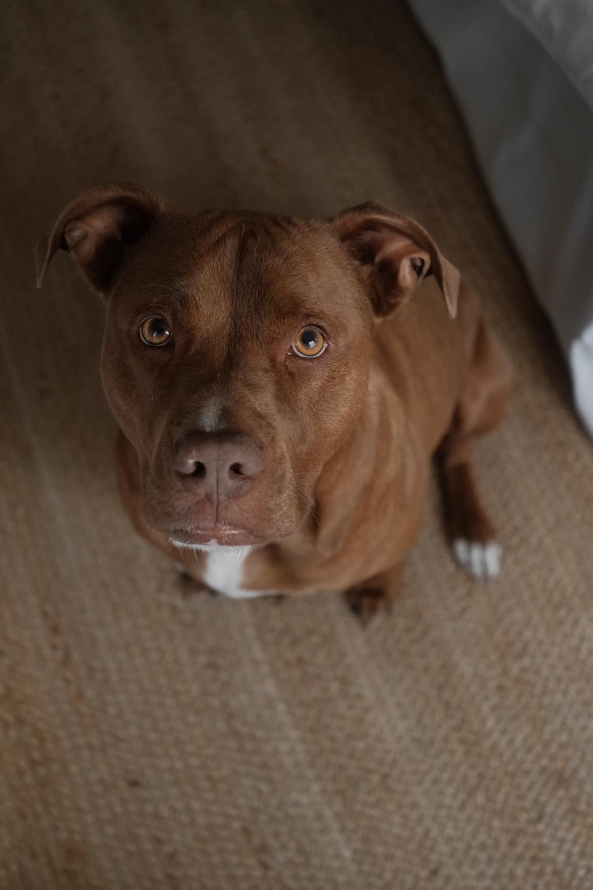 FUJIFILM X-T30 III Mirrorless Camera Body, Charcoal Silver customer photo 1