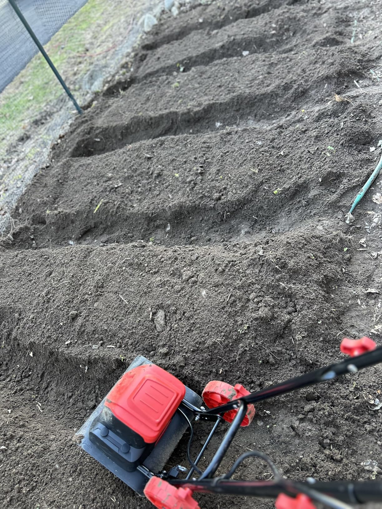 MZK 12-Inch 10.5 Amp Corded Electric Tiller/Cultivator for Gardening, 8-inch tilling Depth, Powerful and Lightweight Tiller, Electric Garden Rototiller for Lawn/Yard/Garden Soil Digging, TC12A03 customer photo 1