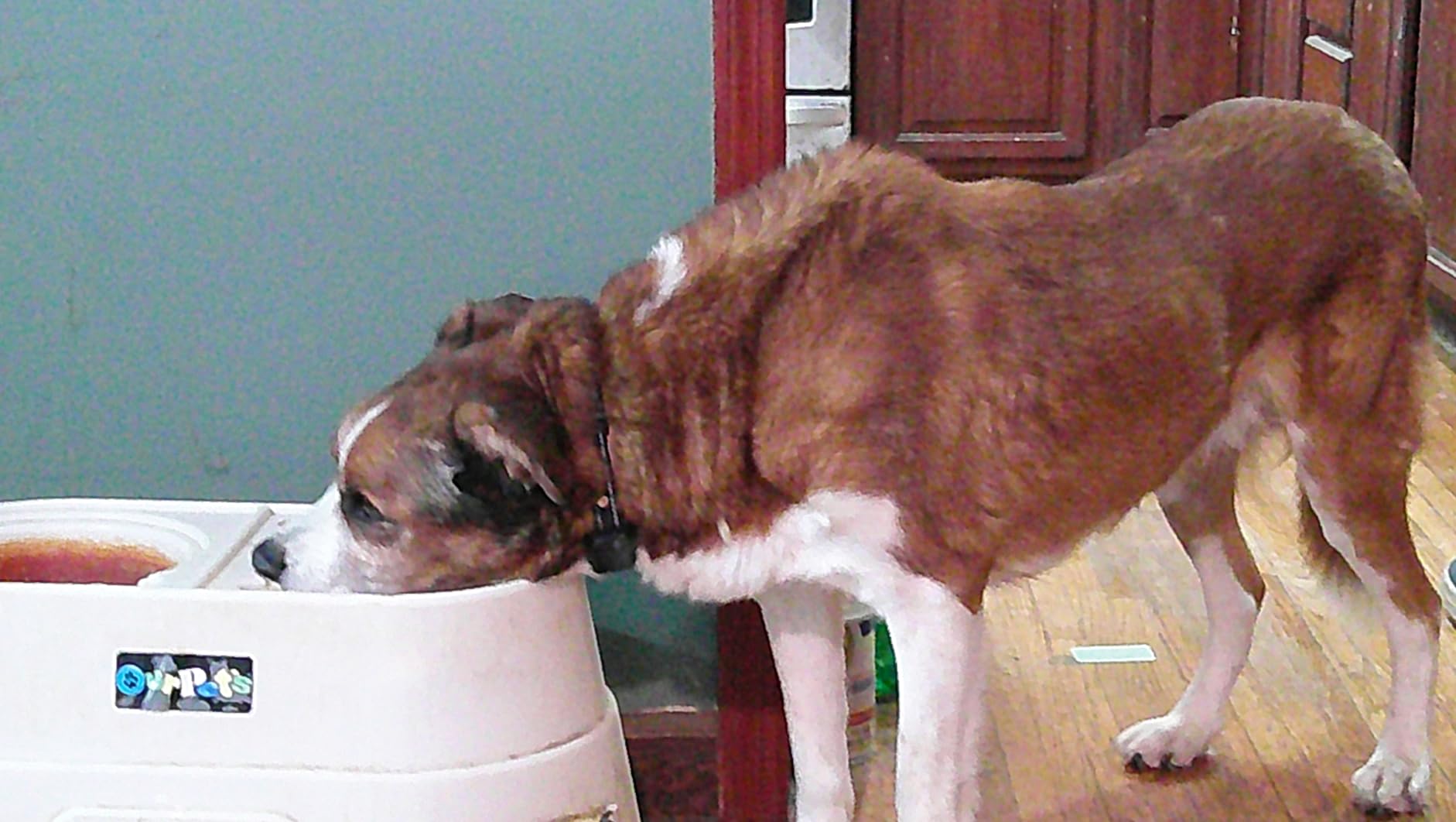 4K Digital Camera with WiFi 64MP Autofocus Vlogging Camera Compact Travel Cameras for Photography, 3