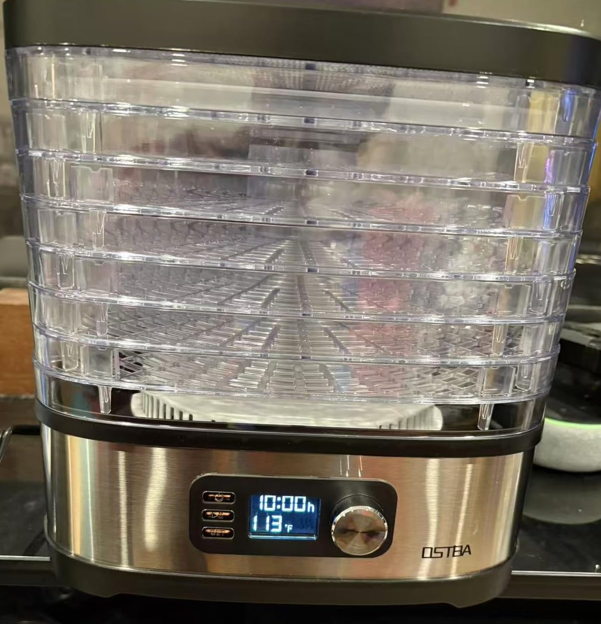 OSTBA Food Dehydrator, 5 Stainless Steel Trays, 400W Powerful Drying, 48H Timer & 95-160°F Temp Control, Quiet Small Dryer for Jerky, Fruits, Herbs, Mushrooms, BPA-Free, Recipes Included customer photo 1