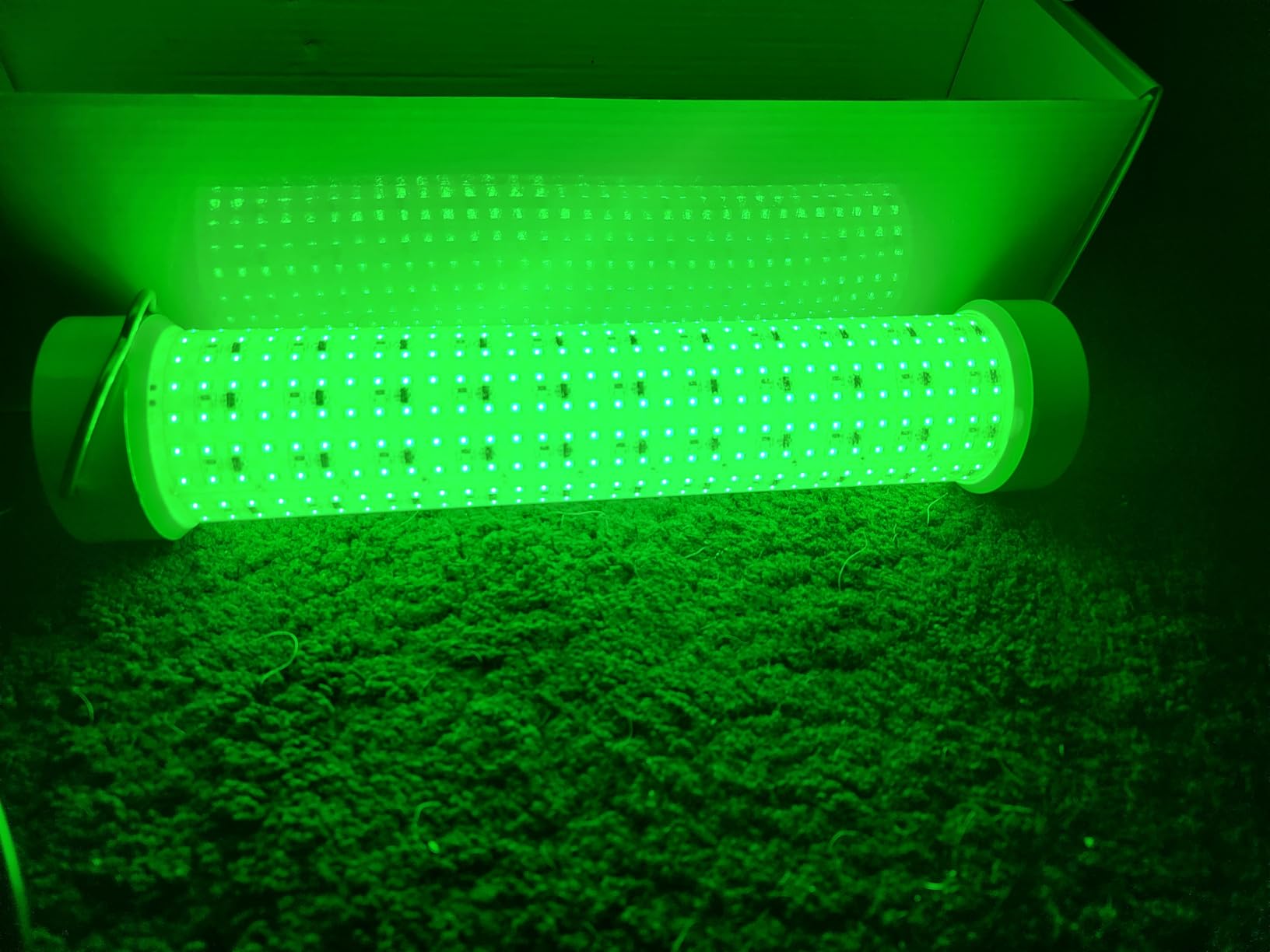 Goldlife 400W LED Green Underwater Fishing Light, 12Inch 100ft Cable, 110V GFCI Safety Plug, IP69K Submersible Attractants Light for Docks/Boats/Kayaks, for Fresh & Salt Water Fishing customer photo 2