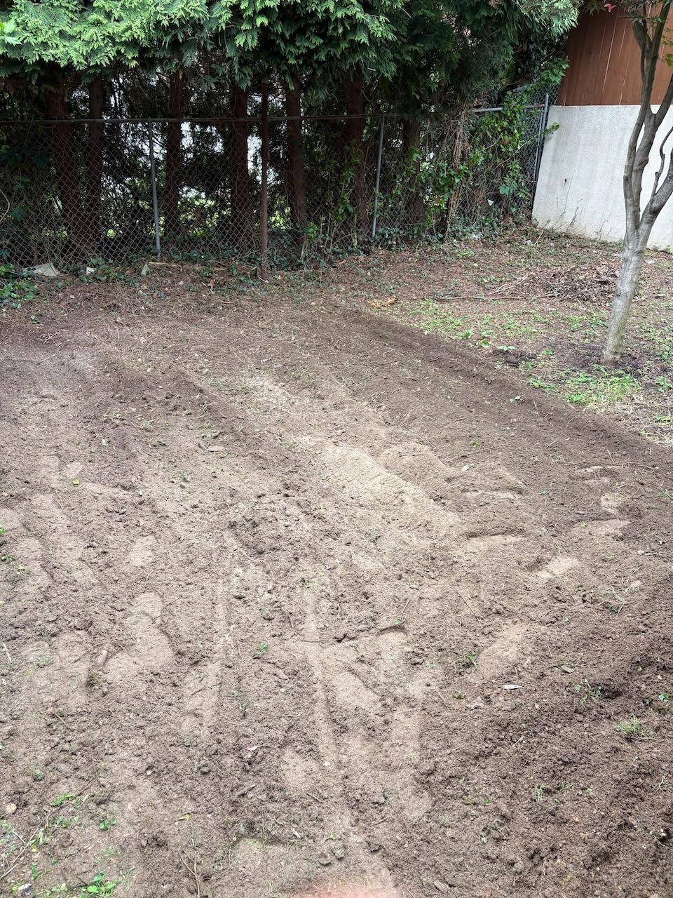 MZK 16-Inch 13.5-Amp Corded Electric Tiller/Cultivator, 8-inch tilling Depth with Adjustable Wheels, Foldable Electric Rototiller for Lawn/Yard/Garden Soil Digging, TC16A08 customer photo 2