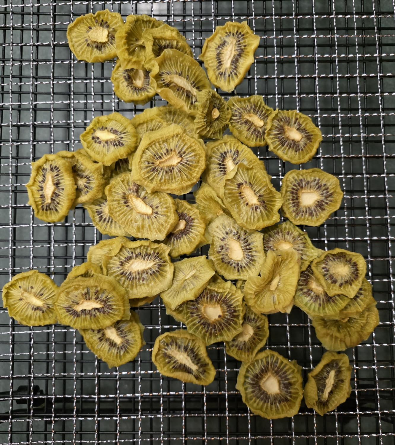 OLIXIS Food Dehydrator Machine, 500W Jerky Dehydrators with 8 Stainless Steel Large Trays, 185°F Temperature Control & 24H Timer Food Dryer for Fruit Meat Herb Dog Treats, Black customer photo 2