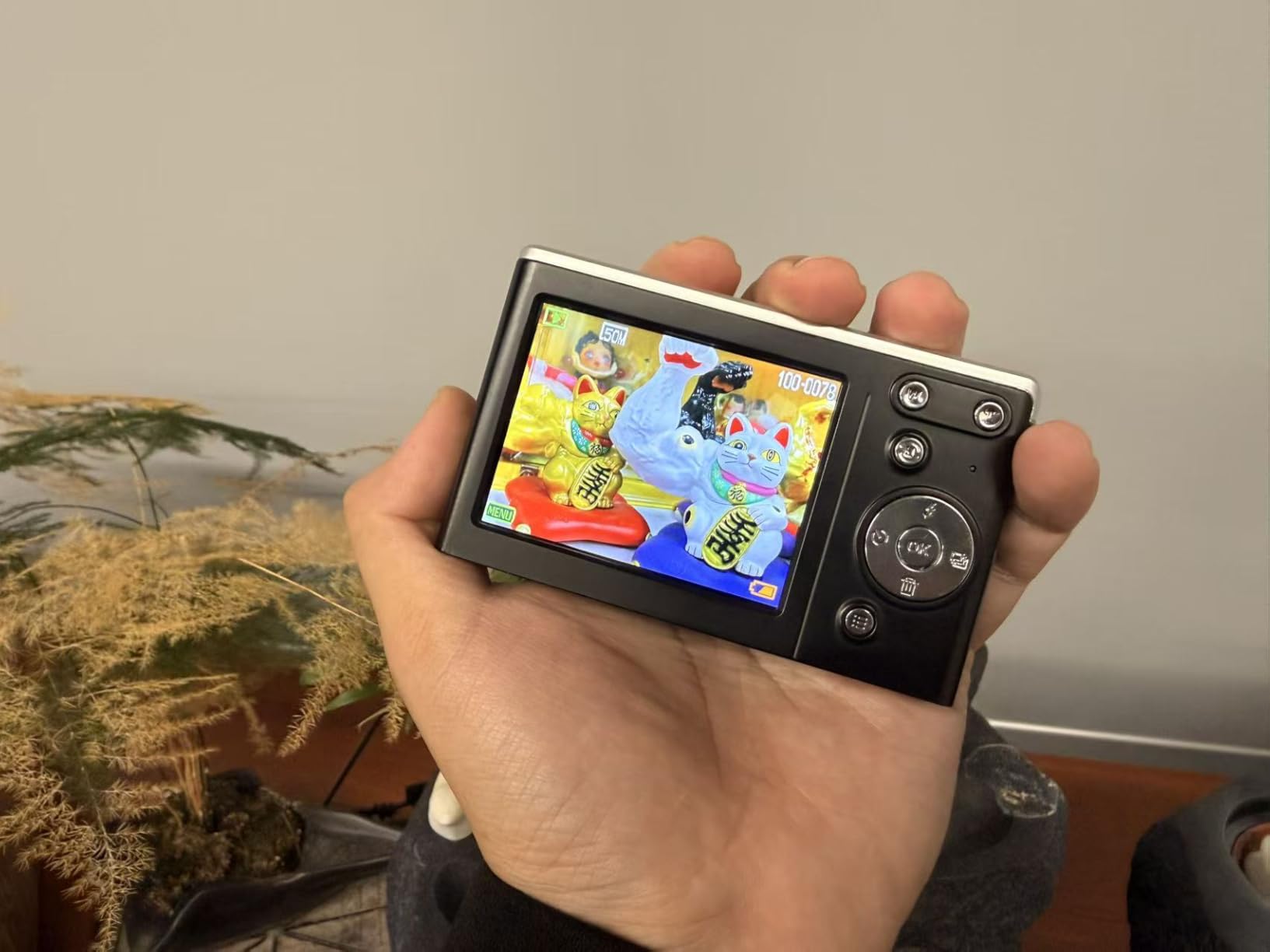 4K Digital Camera for Photography Autofocus,16X Zoom, 50MP Portable Compact Point and Shoot Digital Camera,Compact Travel Cameras for Beginners with 32GB Card, 2 Batteries, Black customer photo 2