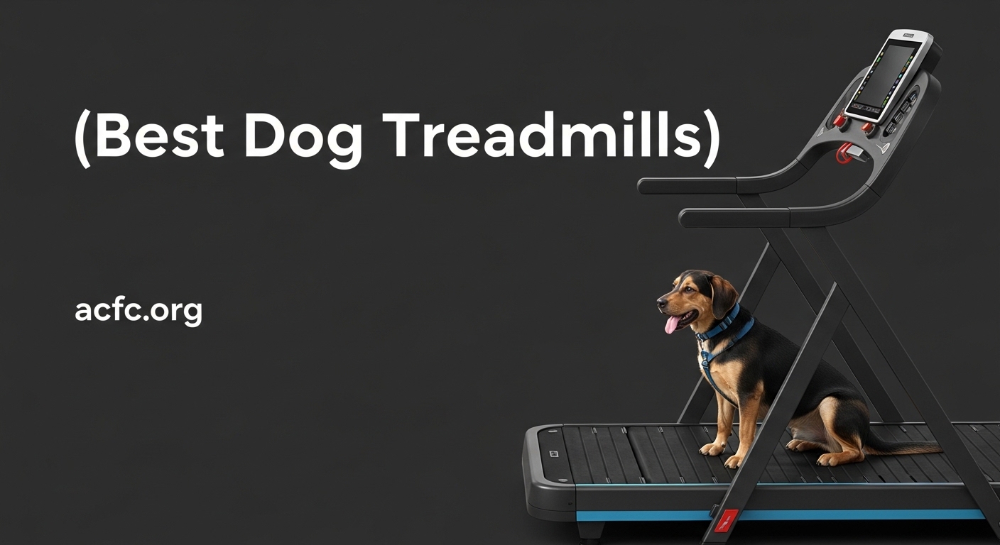 Best Dog Treadmills