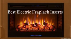 Best Electric Fireplace Inserts