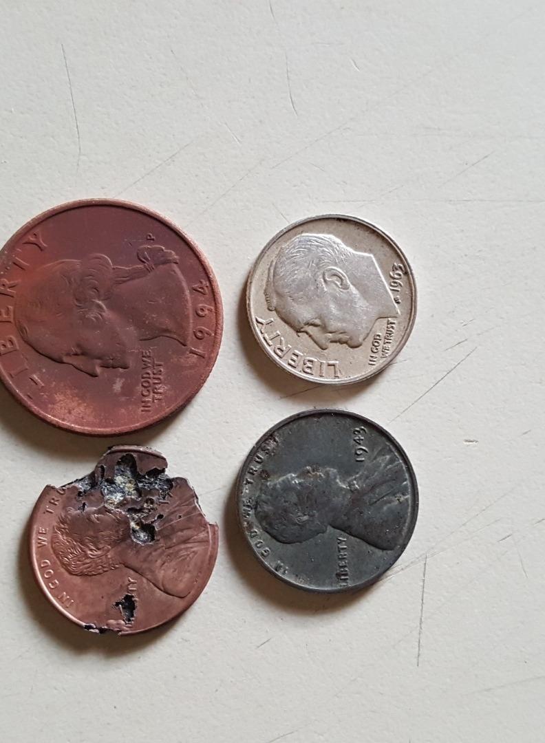 Garrett Ace 250 Metal Detector with Submersible Search Coil customer photo 2