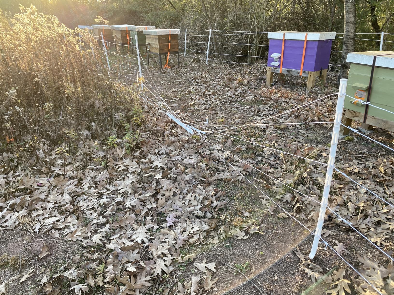 Parmak DF-SP-LI Electric Fencer - Solar Powered Low Impedance Fence Charger customer photo 1