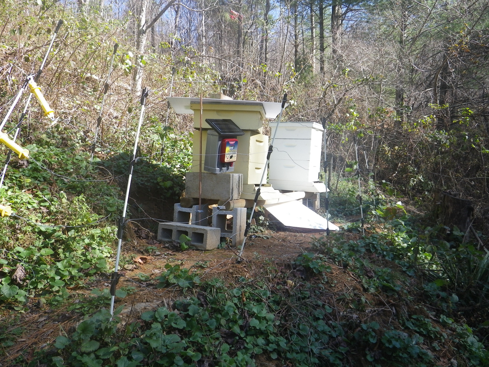 Parmak DF-SP-LI Electric Fencer - Solar Powered Low Impedance Fence Charger customer photo 2