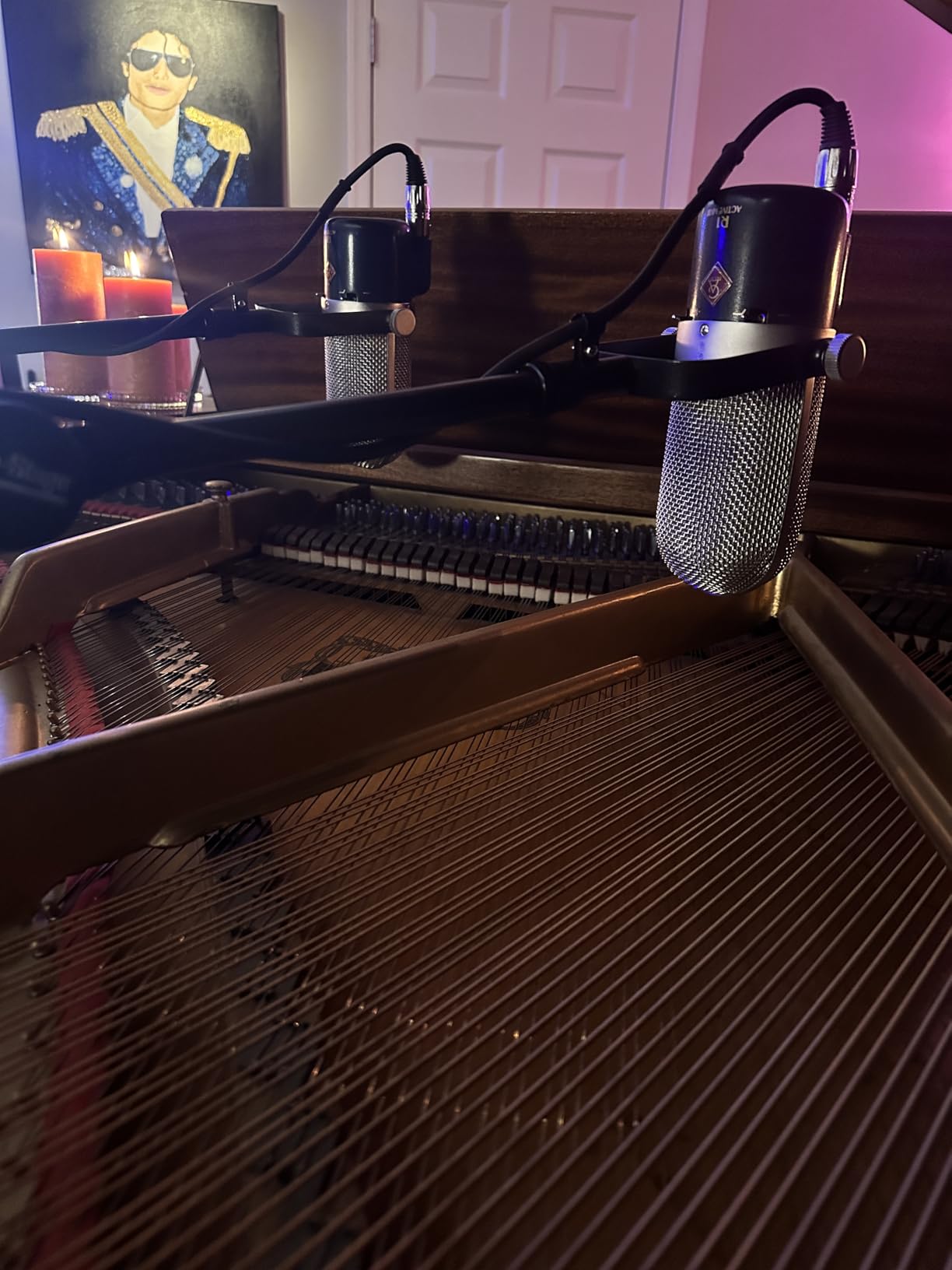 Golden Age Project R1 Active MKIII Active Ribbon Microphone customer photo 1