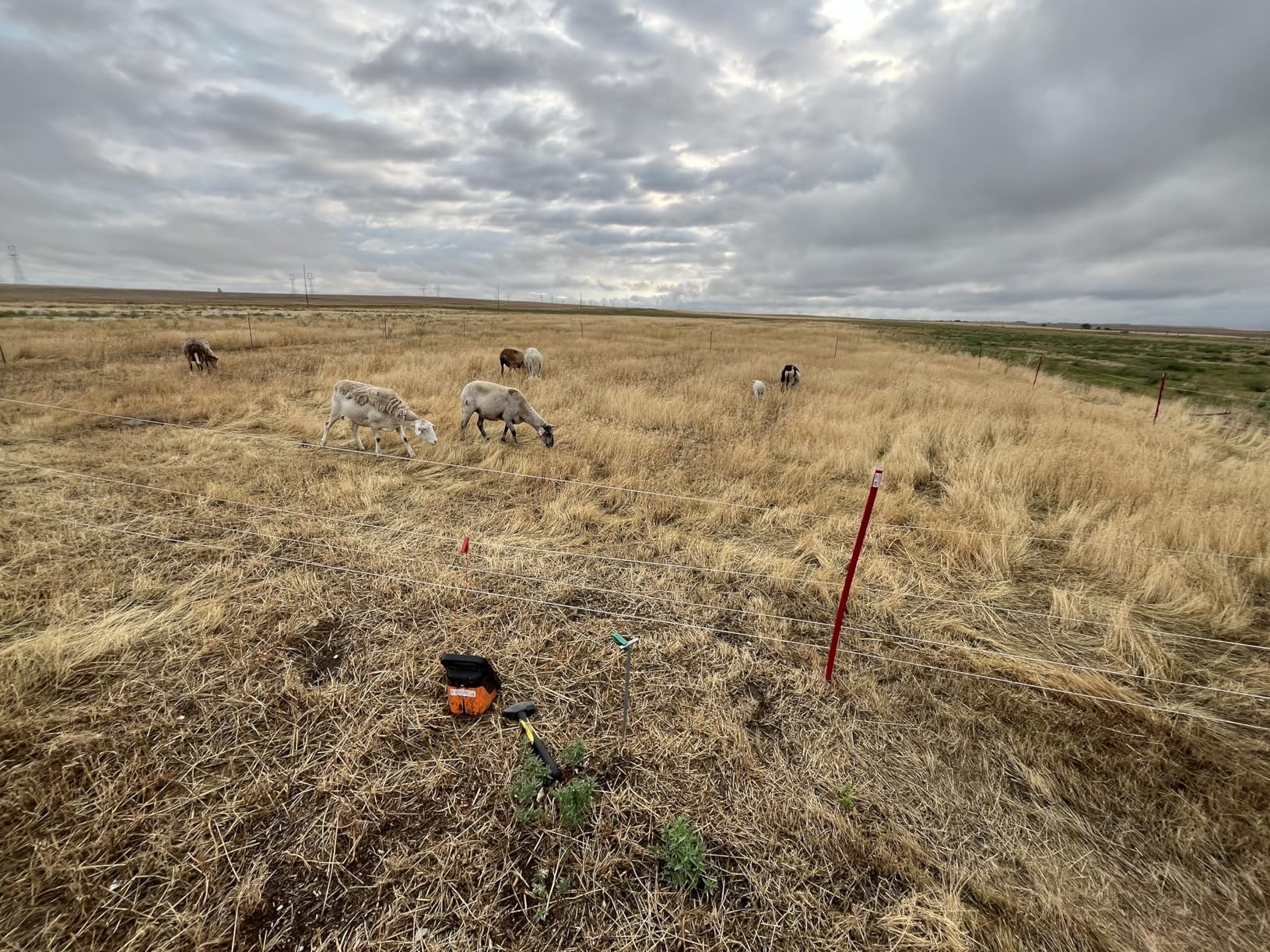 Gallagher Smart Fence 2 | Portable Electric Fence for Livestock Containment | Quick Install Temporary Field Fencing | 328ft of 4-Strand Electric Fencing with Built-in Posts and Reels customer photo 2
