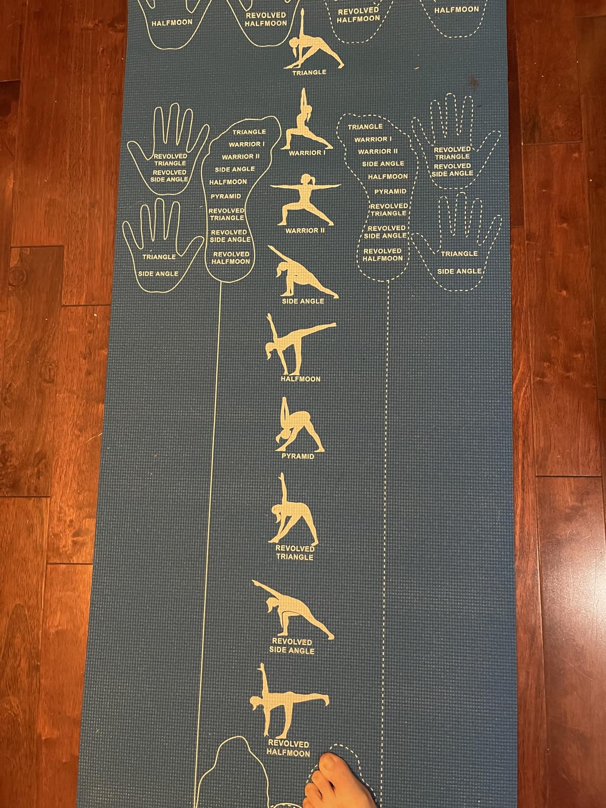 CopyCat Yoga Educational and Instructional Yoga Mat customer photo 1
