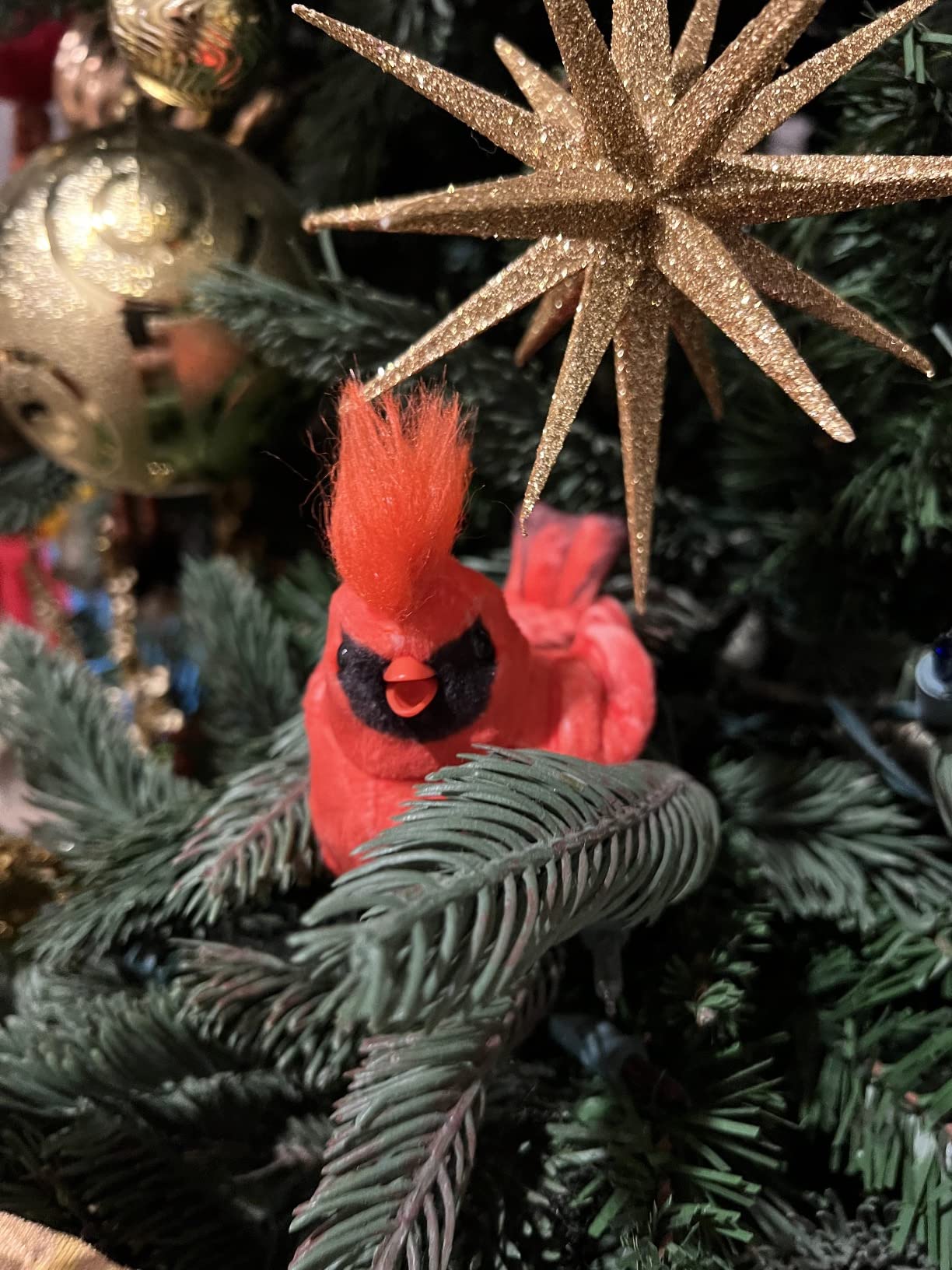 Ageless Innovation - Joy For All Companion Pet For Seniors - Walker Squawker - Lifelike Animatronic Bird - Interactive Chirping - Walker Accessories - Therapy Toys For Alzheimers & Dementia - Bluebird customer photo 2