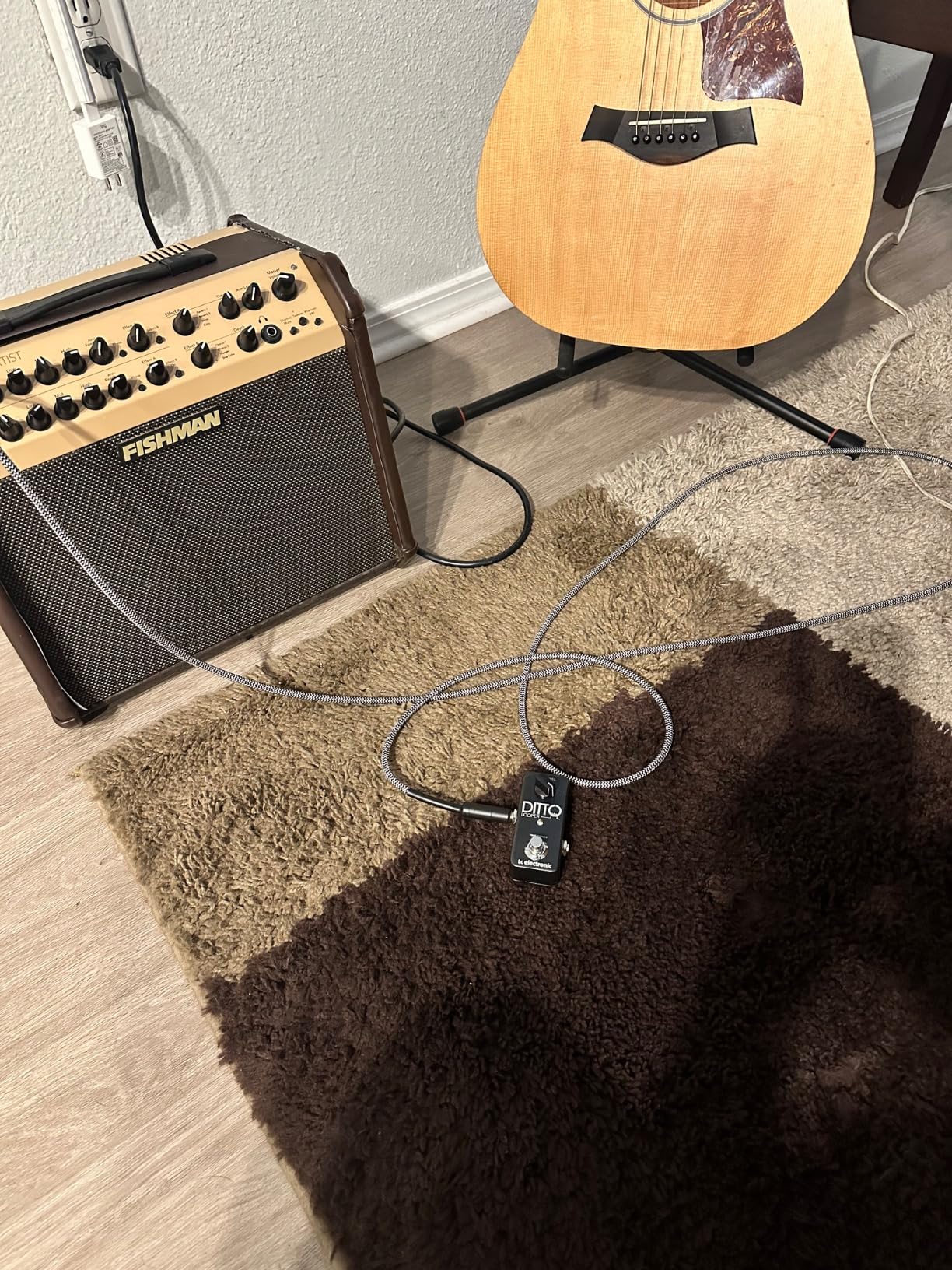 TC Electronic DITTO X2 LOOPER Highly Intuitive Looper Pedal with Dedicated Stop Button and Loop Effects customer photo 1