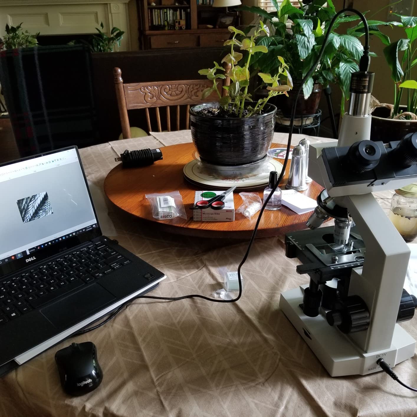 OMAX M83EZ-C02 Digital Lab Trinocular Compound LED Microscope - 40X-2500X Magnification - Features USB Digital Camera & Double Layer Mechanical Stage customer photo 1